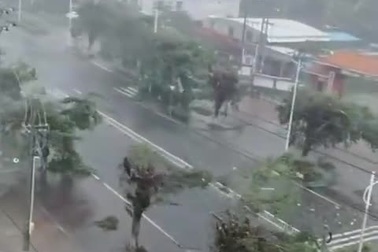 Cảnh đổ nát tại đảo Hải Nam khi siêu bão Yagi càn quét