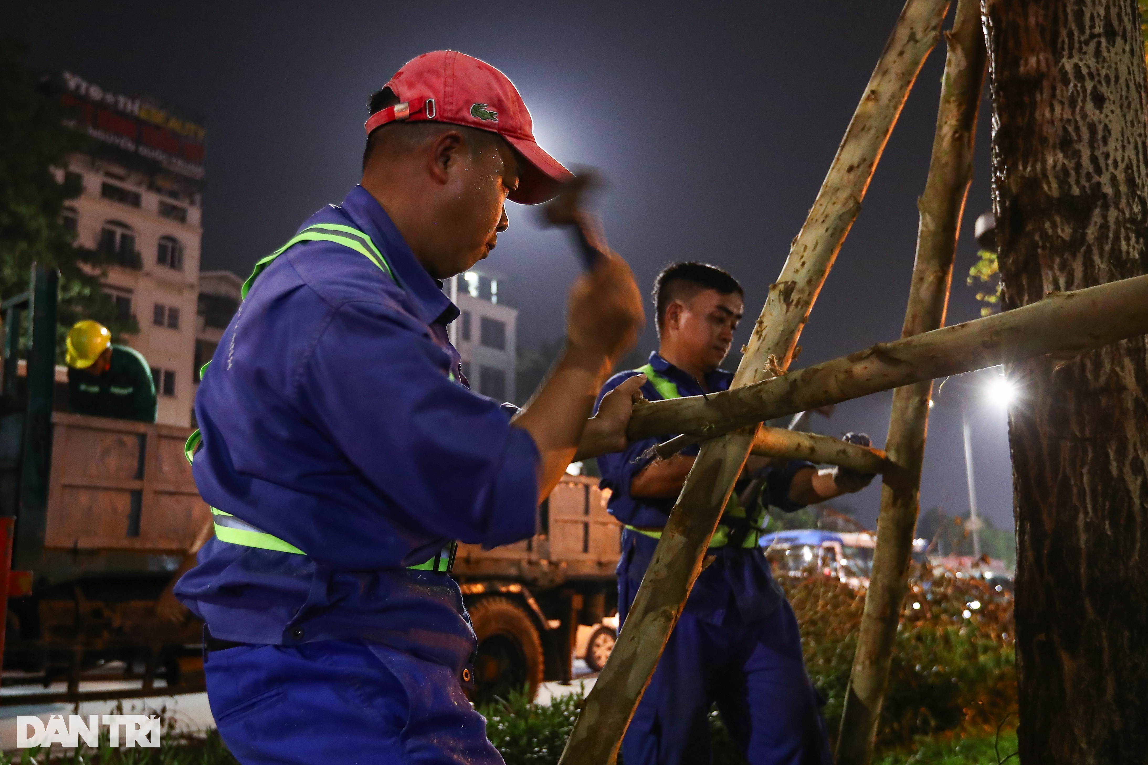 View - Đội tinh nhuệ từ các địa phương xuyên đêm dọn dẹp cây xanh hỗ trợ Hà Nội | Báo Dân trí