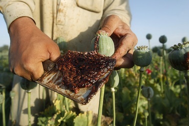 IS kiếm bộn tiền từ tuồn ma túy vào châu Âu qua Thổ Nhĩ Kỳ