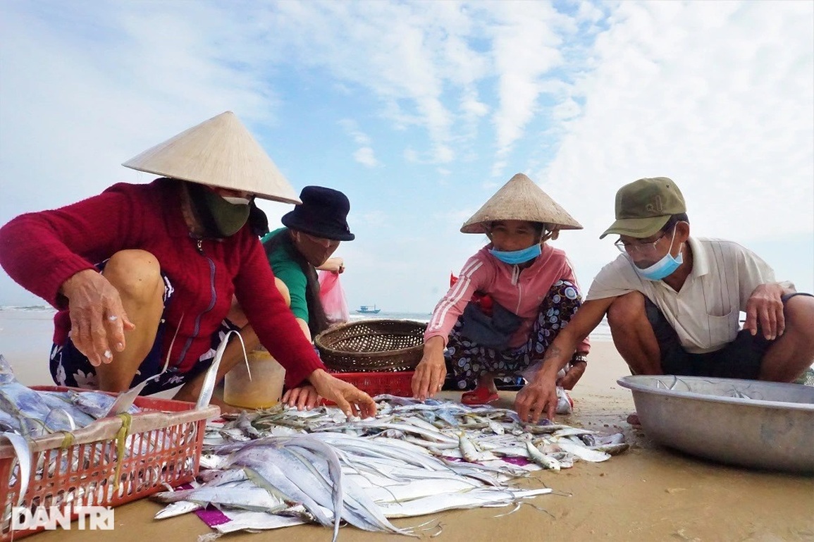 Bám biển vài tiếng, ngư dân thu tiền triệu nhờ ngón nghề tay trái - 10 Bám biển vài tiếng, ngư dân thu tiền triệu nhờ ngón nghề tay trái - 10