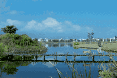 Ông bố trẻ về quê mở trang trại hàng trăm ha "trồng rau, nuôi cá"