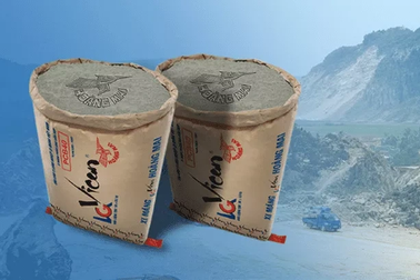 Lỗ đậm, Vicem Hoàng Mai nói do bất động sản gặp khó và EVN tăng giá điện