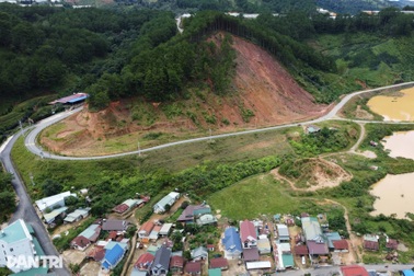 Đồi thông ở Đà Lạt sạt trượt, người dân sống trong lo lắng