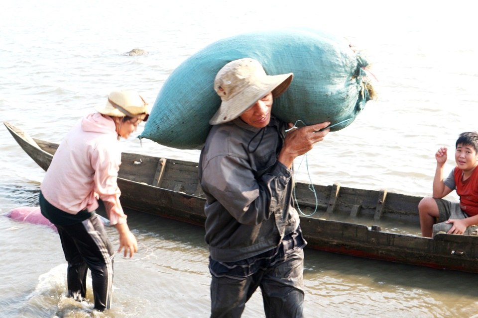 Ngư dân Quảng Nam được mùa rong câu - 7 Ngư dân Quảng Nam được mùa rong câu - 7