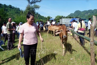 Hơn 20.000 tỷ đồng khó thu hồi, suy ngẫm về “Ngày vì người nghèo”