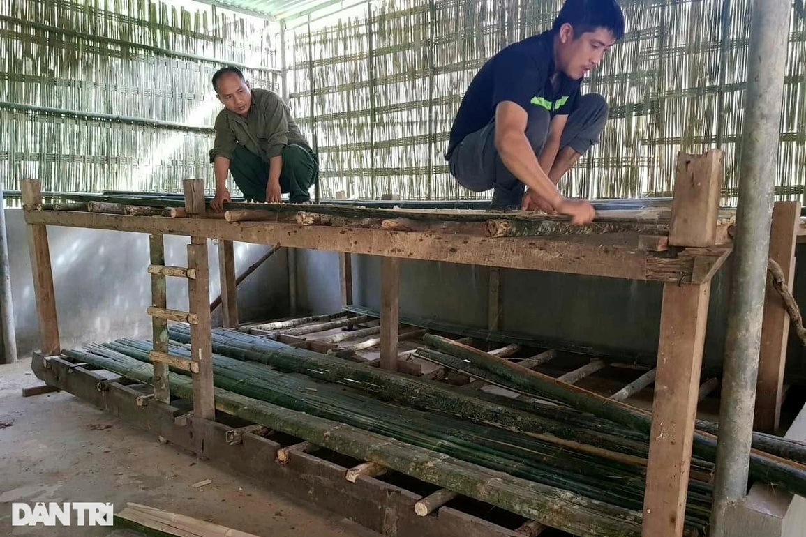 Xót xa gần một trăm học sinh nghèo nằm sạp gỗ, giường tre bám trường - 1 Xót xa gần một trăm học sinh nghèo nằm sạp gỗ, giường tre bám trường - 1