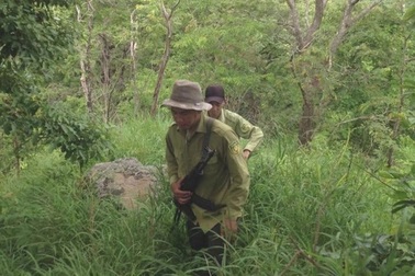 Vì sao nhiều "người rừng" ở Tây Nguyên đồng loạt đòi nghỉ việc?