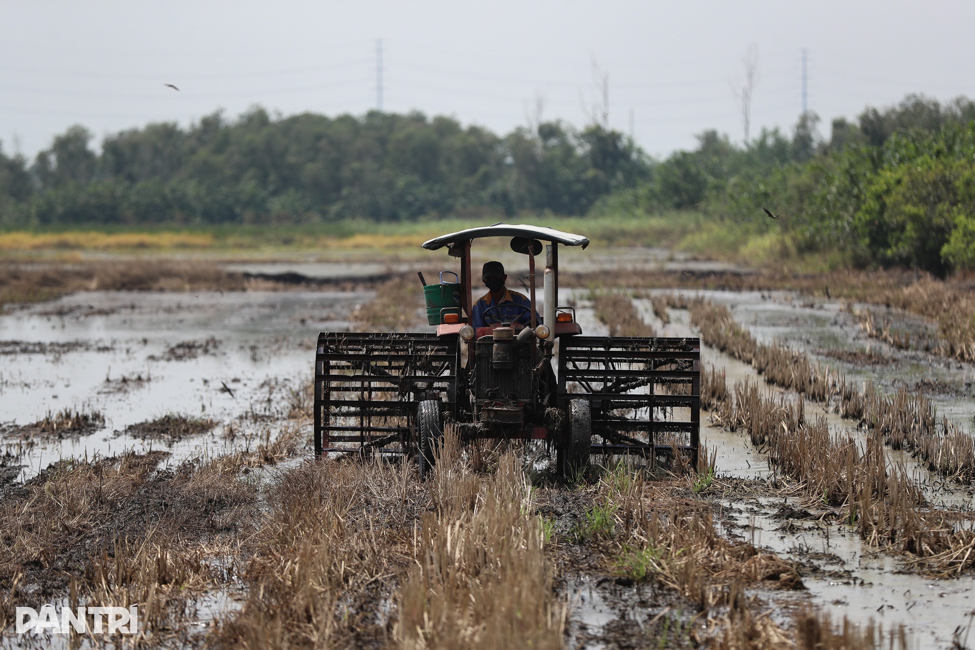Cận cảnh siêu dự án 3,5 tỷ USD ở TPHCM sắp tái khởi động sau gần 20 năm - 9 Cận cảnh siêu dự án 3,5 tỷ USD ở TPHCM sắp tái khởi động sau gần 20 năm - 9