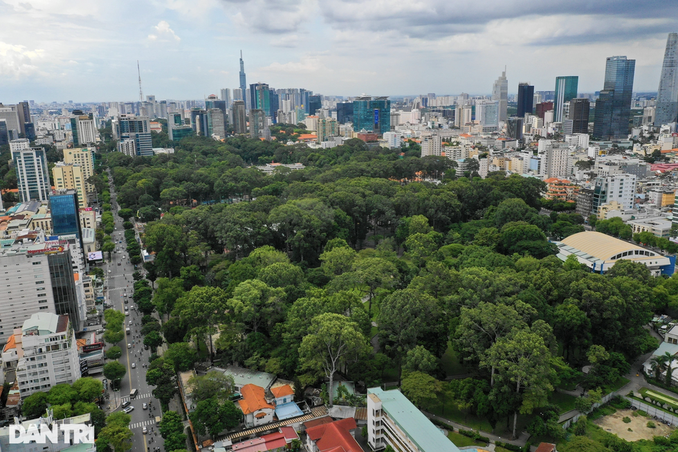 TPHCM cần phủ xanh thế nào khi hàng nghìn cây đã hy sinh cho dự án? - 1 TPHCM cần phủ xanh thế nào khi hàng nghìn cây đã hy sinh cho dự án? - 1