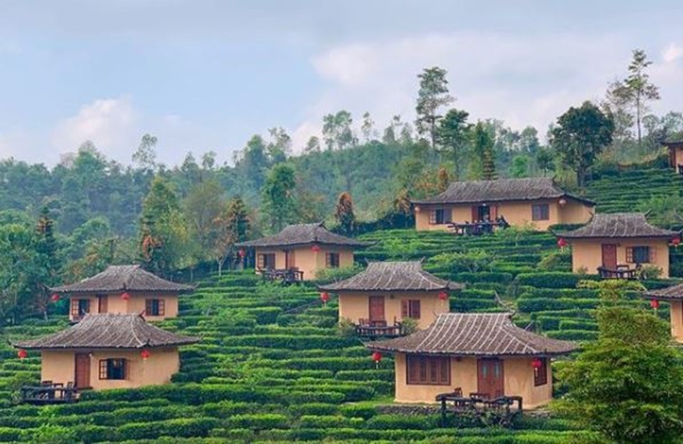 Ngôi làng ẩn hiện trong mây, nằm giữa đồi chè đẹp như cổ tích ở Thái Lan - 4 Ngôi làng ẩn hiện trong mây, nằm giữa đồi chè đẹp như cổ tích ở Thái Lan - 4