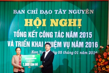Vietcombank dành tặng đồng bào Tây Nguyên 1.000 con bò giống