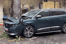 Nhân chứng kể vụ cây ngã đè ô tô trên đường ở TPHCM