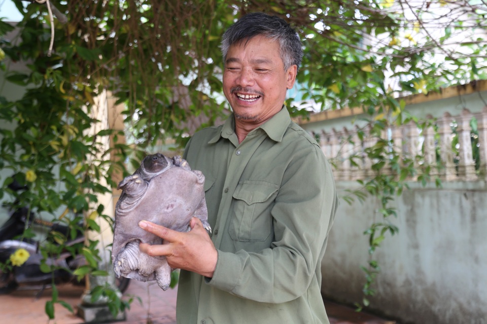 Nuôi con “chân vịt, thịt gà, da trâu, đầu rắn” thu tiền tỷ mỗi năm ở Sơn La - 1