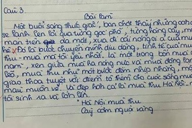 Tranh cãi mở đầu đoạn văn bị 0 điểm