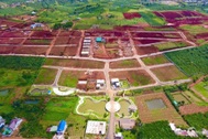 Lâm Đồng tạm dừng thủ tục phân lô, tách thửa