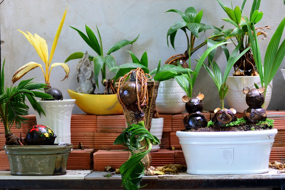 Bonsai hình chuột.jpg Bonsai hình chuột.jpg