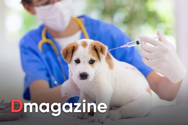 Virus dại xuất hiện từ 4.000 năm trước, đến nay vẫn gieo rắc cái chết