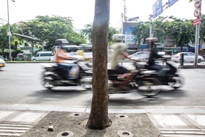 Bê tông bóp nghẹt cây xanh - 1 Bê tông bóp nghẹt cây xanh - 1