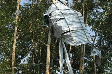 Lốc kéo dài hơn một phút, thổi mái tôn trường học bay lên ngọn cây