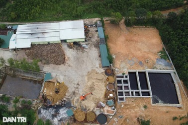 Yêu cầu tháo dỡ nhà máy gỗ xả thải khiến cá chết hàng loạt