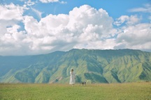 Thảo nguyên xanh mướt như trời Âu, cách Hà Nội chỉ 5 tiếng di chuyển