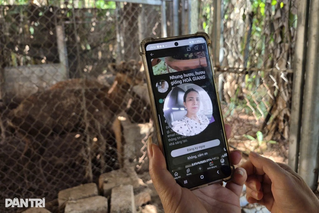 خاتون ٹیچر اپنی سائڈ جاب سے سالانہ نصف بلین ڈونگ کماتی ہے - 3