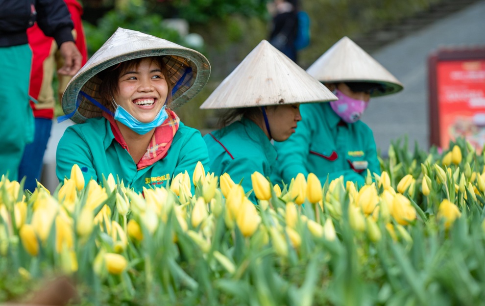 Sun Group lần thứ 2 đạt giải thưởng HRAA dành cho Nơi làm việc tốt nhất châu Á - 3 Sun Group lần thứ 2 đạt giải thưởng HRAA dành cho Nơi làm việc tốt nhất châu Á - 3