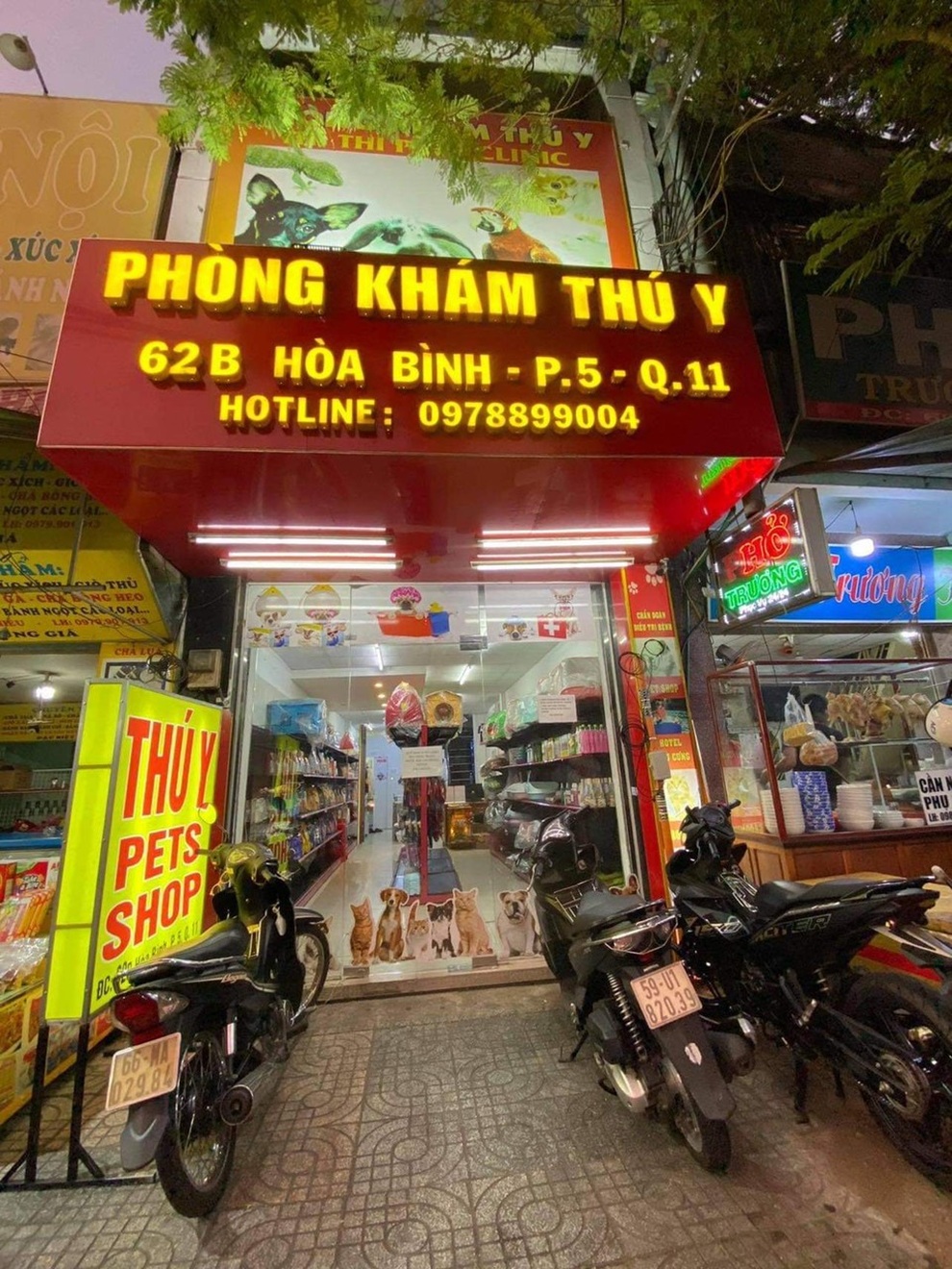Thi Thi Pet Clinic Pet Shop: Thiên đường chăm sóc boss cưng cho mọi nhà - 1 Thi Thi Pet Clinic Pet Shop: Thiên đường chăm sóc boss cưng cho mọi nhà - 1