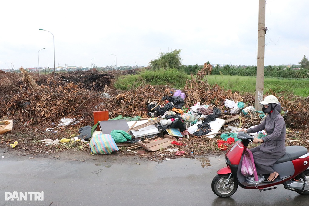 Rác chất cao hai bên đường sau bão Kajiki - 3 Rác chất cao hai bên đường sau bão Kajiki - 3