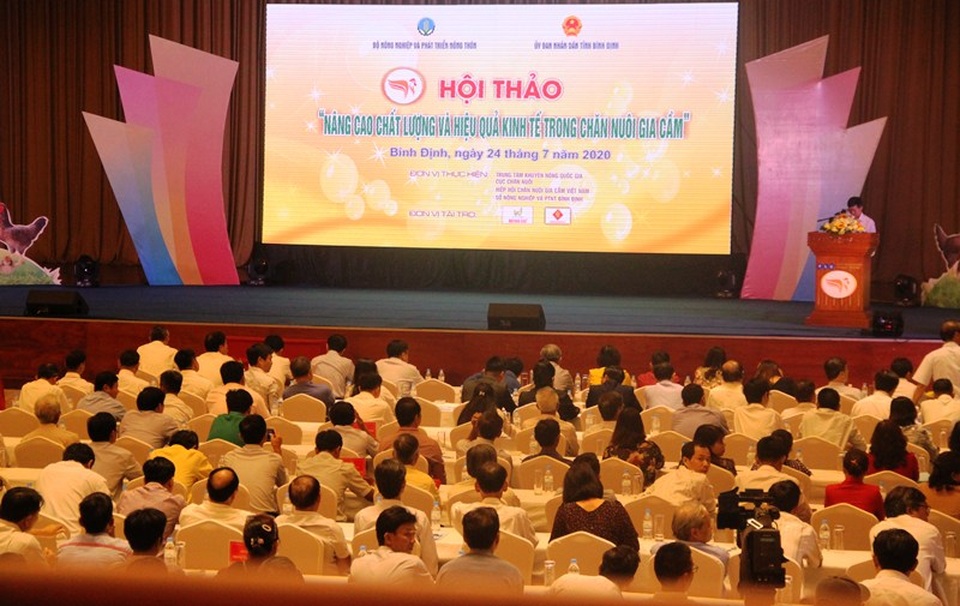 Chuyên gia hiến kế đưa gà ta xuất ngoại - 1 Chuyên gia hiến kế đưa gà ta xuất ngoại - 1