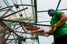 Nông dân đổi đời, thu tiền tỉ mỗi năm nhờ nuôi cá "trời cho"