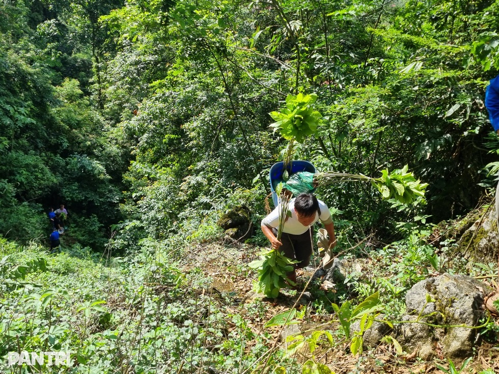 Người trẻ vượt non cao nắng cháy, vào rừng làm nhà cho vượn đen má trắng - 7 Người trẻ vượt non cao nắng cháy, vào rừng làm nhà cho vượn đen má trắng - 7