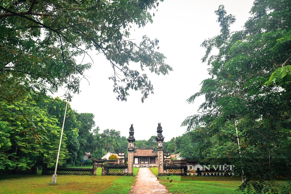 Chiêm ngưỡng cây sưa trăm tuổi ở Hà Nội, trả 60 tỷ đồng không bán - 12