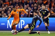 Hà Lan thắng đậm Scotland, Tây Ban Nha thua Colombia