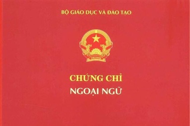 Thêm 9 trường đại học phải dừng cấp chứng chỉ ngoại ngữ, tin học