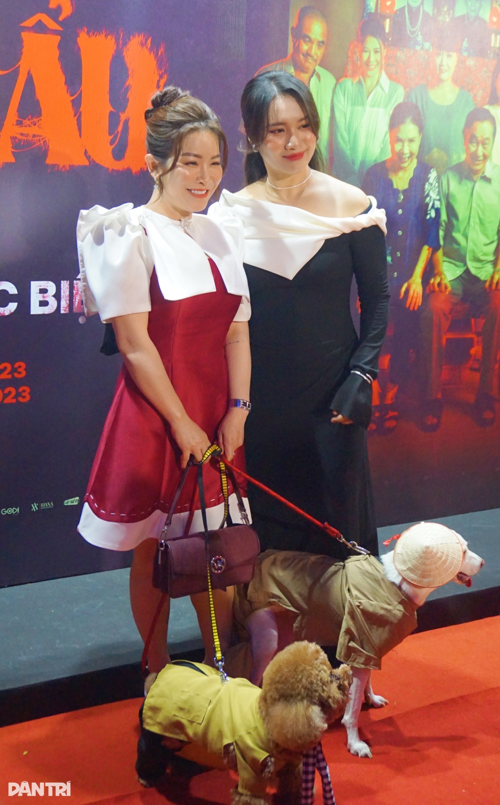 Kiều Linh dắt cún lên thảm đỏ, hé lộ về mái ấm cưu mang hơn 500 chú chó - 3 Kiều Linh dắt cún lên thảm đỏ, hé lộ về mái ấm cưu mang hơn 500 chú chó - 3