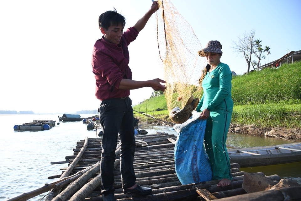 Làng nuôi cá lồng hốt bạc dịp đầu năm - 1