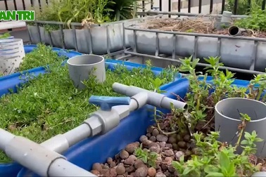 Làm vườn rau sạch, hái tặng hàng xóm suốt 2 tháng mùa dịch