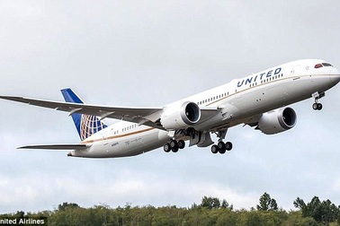 Chó cưng chết vì bị đặt vào khoang hành lý xách tay trên máy bay