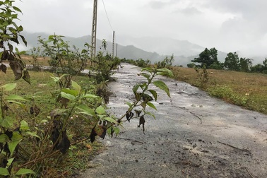 Dự án di dân "khẩn cấp"... treo suốt 8 năm!