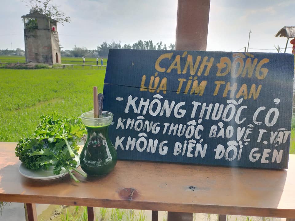 Độc đáo quán cà phê Lò gạch cũ nằm giữa cánh đồng lúa xanh ngát - 7 Độc đáo quán cà phê Lò gạch cũ nằm giữa cánh đồng lúa xanh ngát - 7