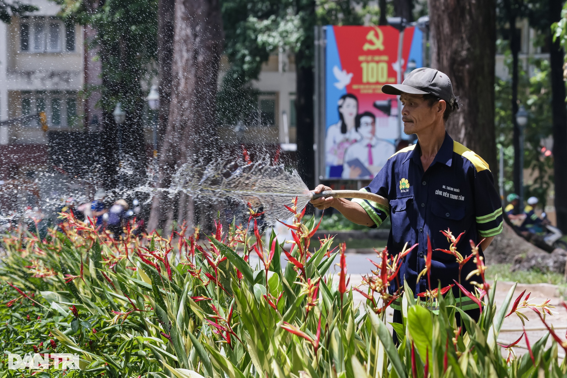 Hàng chục nhân viên cây xanh khẩn trương “khoác áo mới” cho công viên 30/4 - 9 Hàng chục nhân viên cây xanh khẩn trương “khoác áo mới” cho công viên 30/4 - 9