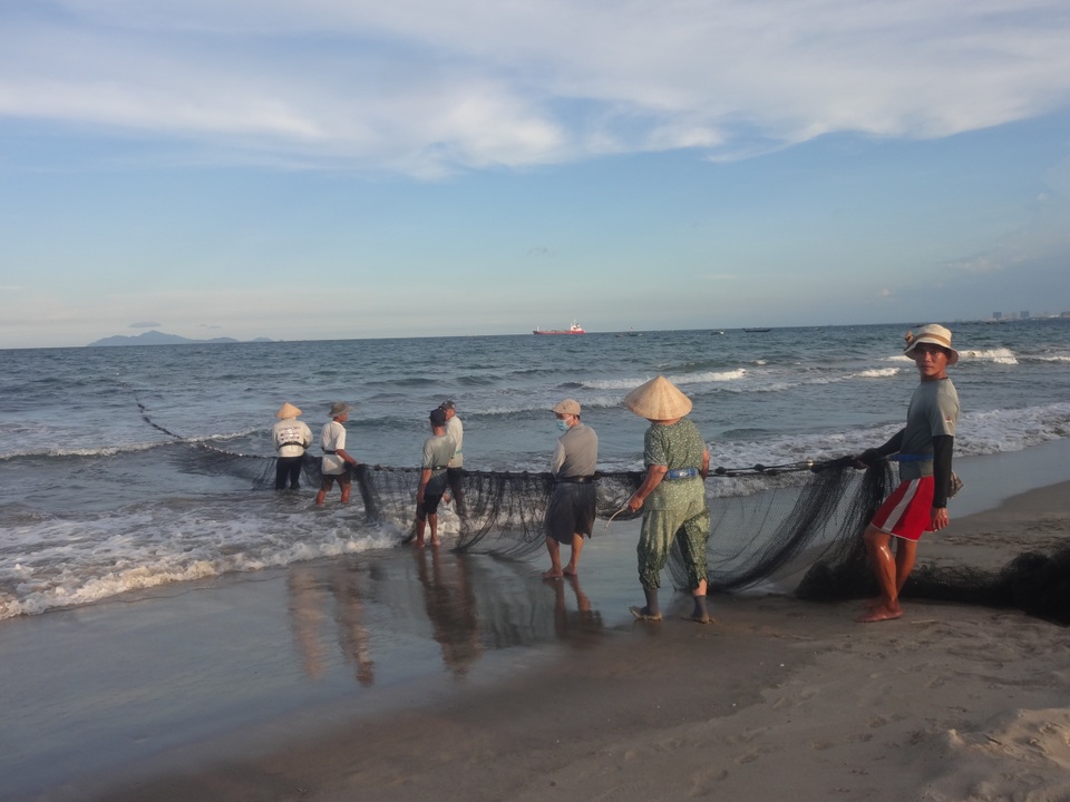 Những “mẻ lưới niềm vui” của ngư dân Đà Nẵng sau nới lỏng giãn cách xã hội - 1 Những “mẻ lưới niềm vui” của ngư dân Đà Nẵng sau nới lỏng giãn cách xã hội - 1