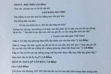 Gia Lai: Kiểm tra thông tin đề thi môn Ngữ Văn có nội dung "nhạy cảm"