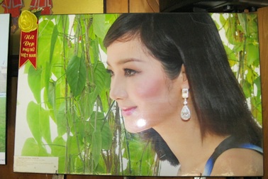 Những người đẹp trong ảnh Văn Thọ