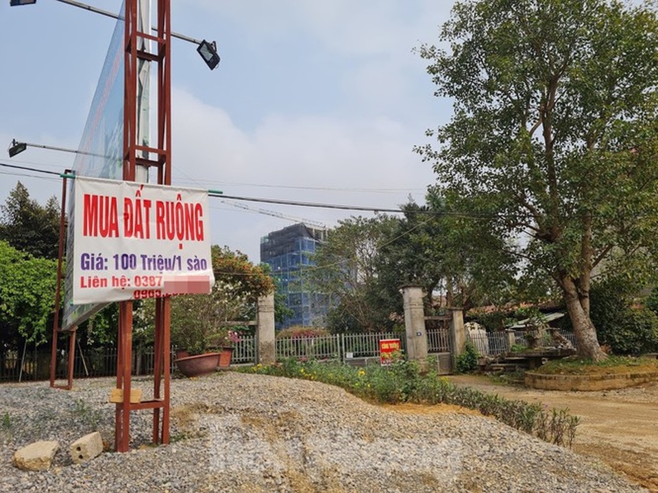 Đủ chiêu trò bán đất rừng, đất ruộng... trong cơn sốt đất quay cuồng - 2 Đủ chiêu trò bán đất rừng, đất ruộng... trong cơn sốt đất quay cuồng - 2