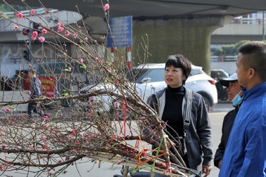 Đào Nhật Tân xuống phố thu hút người chơi sớm