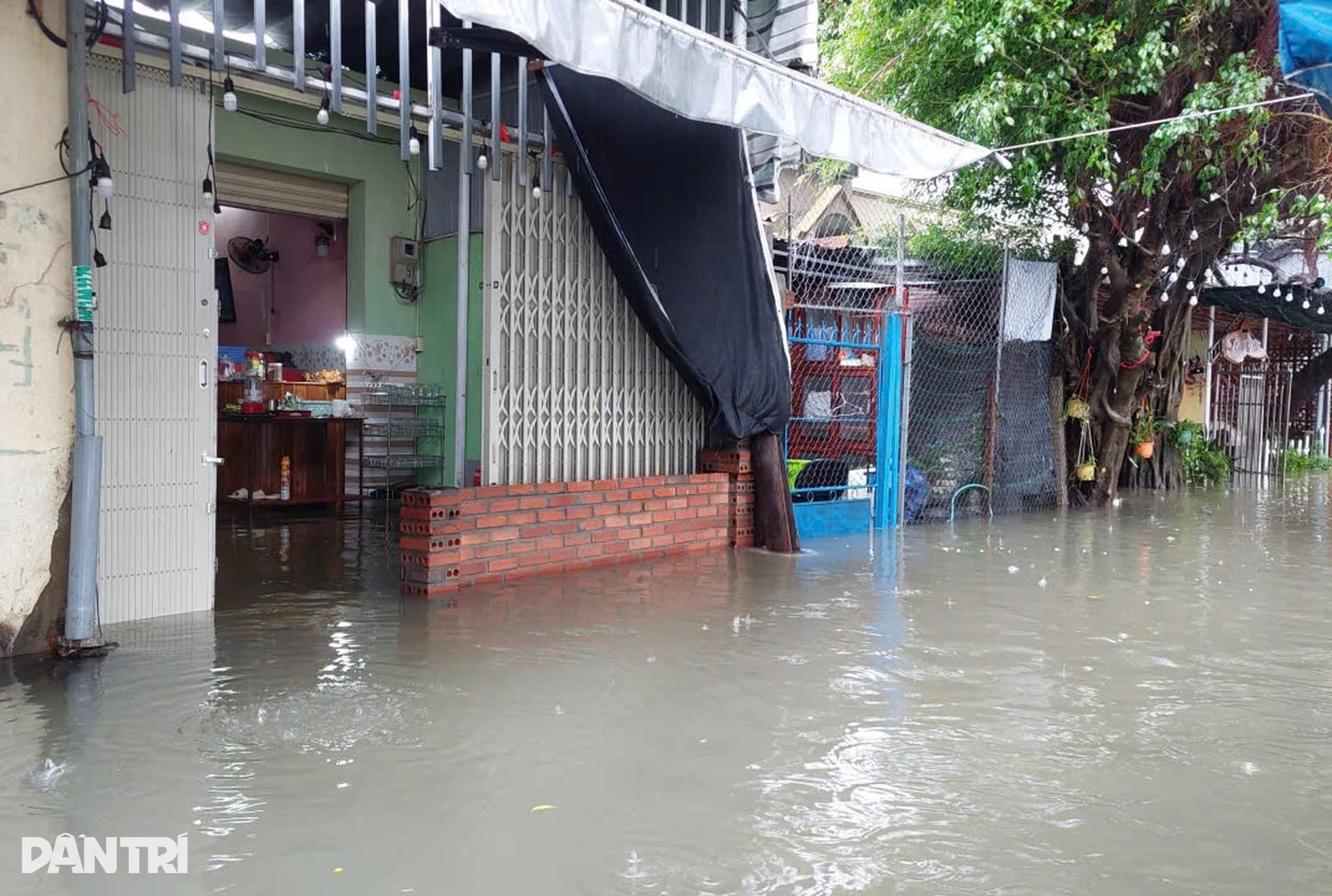 Nước ngập gần tới nóc nhà, người dân Gia Lai kêu cứu - 7