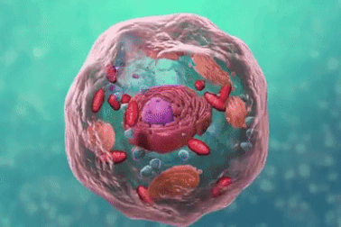 Thử sức với bài kiểm tra nhanh kiến thức khoa học tổng hợp (Kỳ 13)