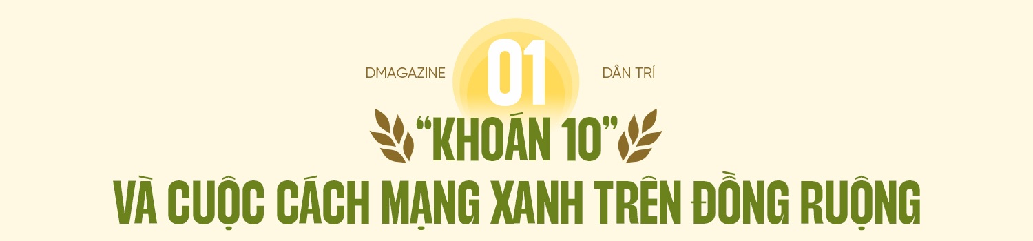 80 năm cây lúa Việt: Từ nạn đói 1945 đến hạt gạo ngon nhất thế giới - 3 80 năm cây lúa Việt: Từ nạn đói 1945 đến hạt gạo ngon nhất thế giới - 3